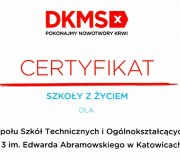 DKMS_dyplom_mini